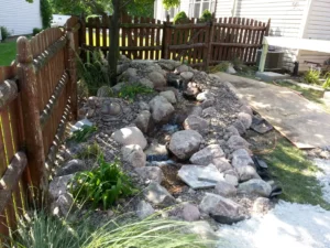 Backyard Stream
